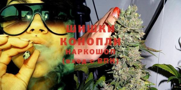 стаф Абаза