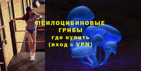 ГАЛЛЮЦИНОГЕННЫЕ ГРИБЫ Алзамай