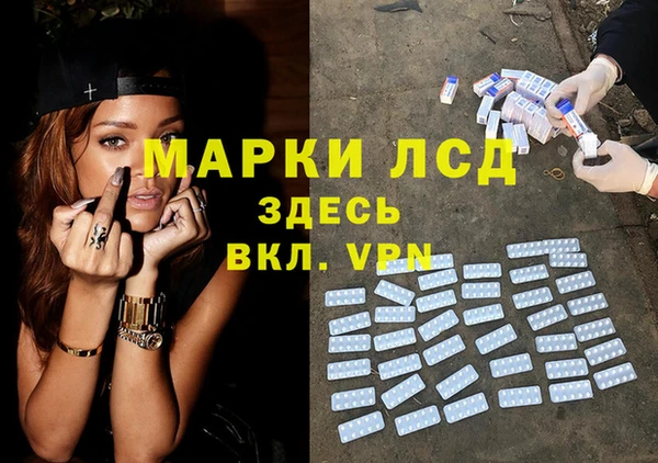 стаф Абаза