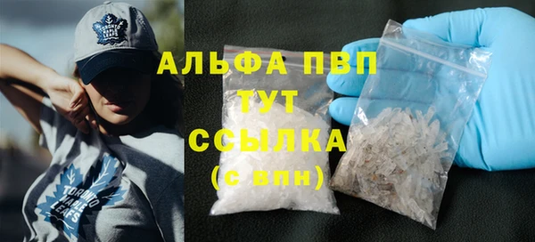 стаф Абаза